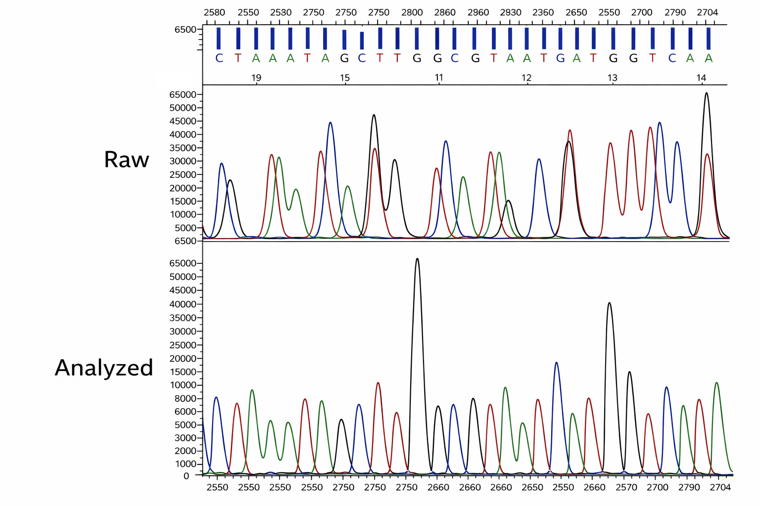 Sanger DNA Sequencing